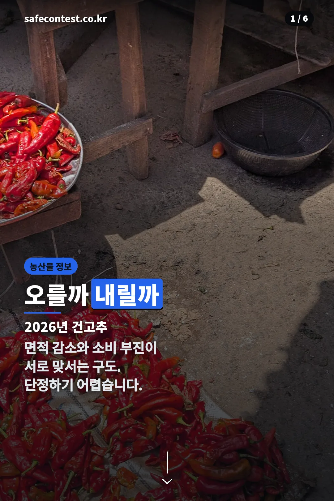 건고추 시세 표지