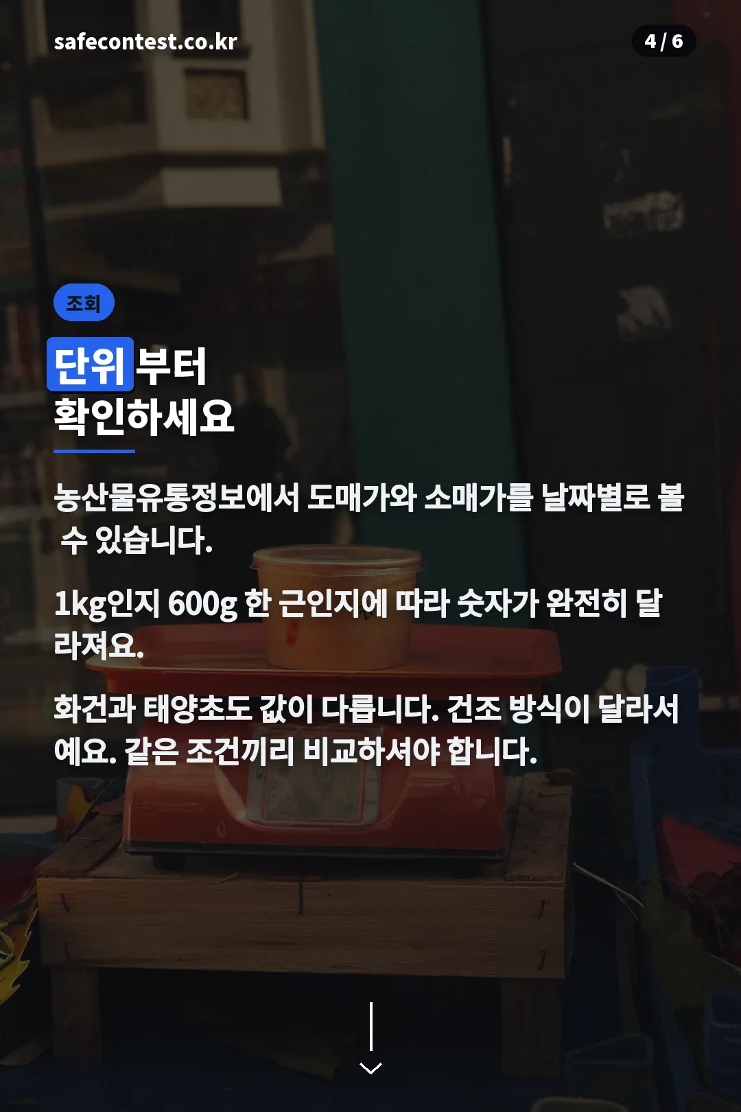 시세 조회법