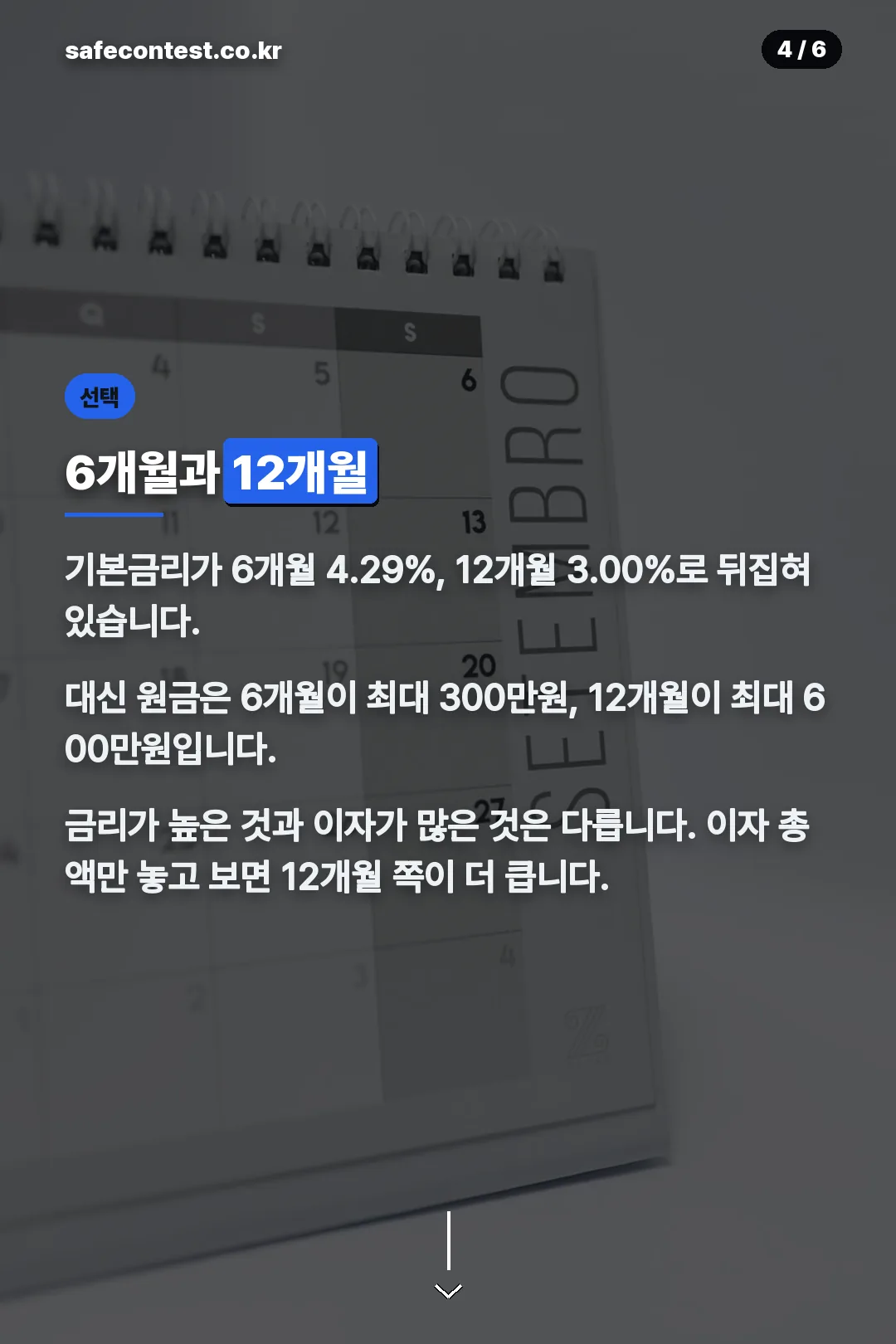 6개월과 12개월 비교