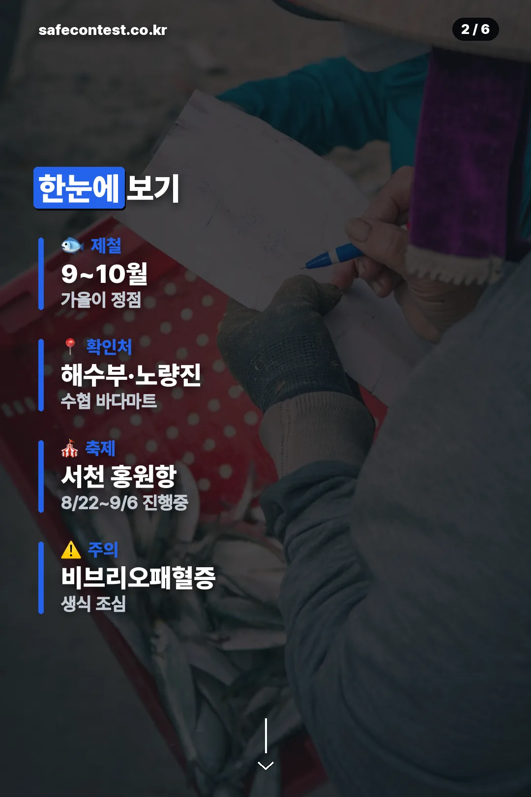확인처와 축제 요약