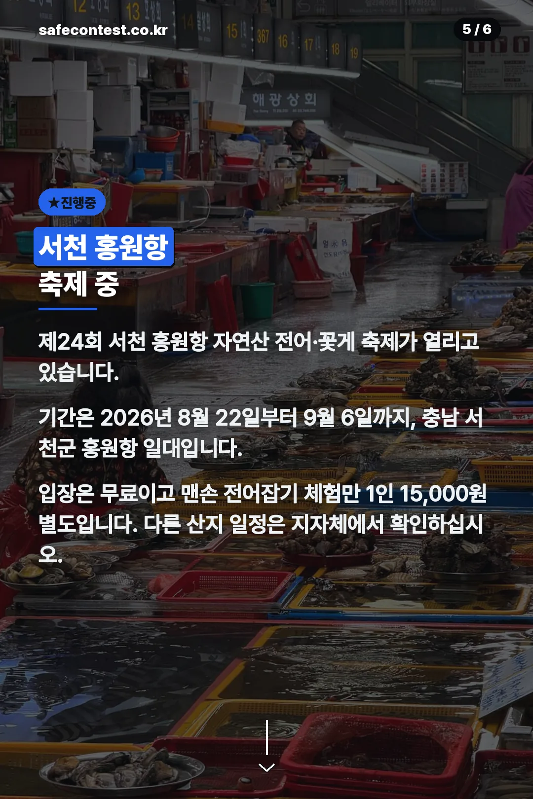서천 홍원항 축제 진행중